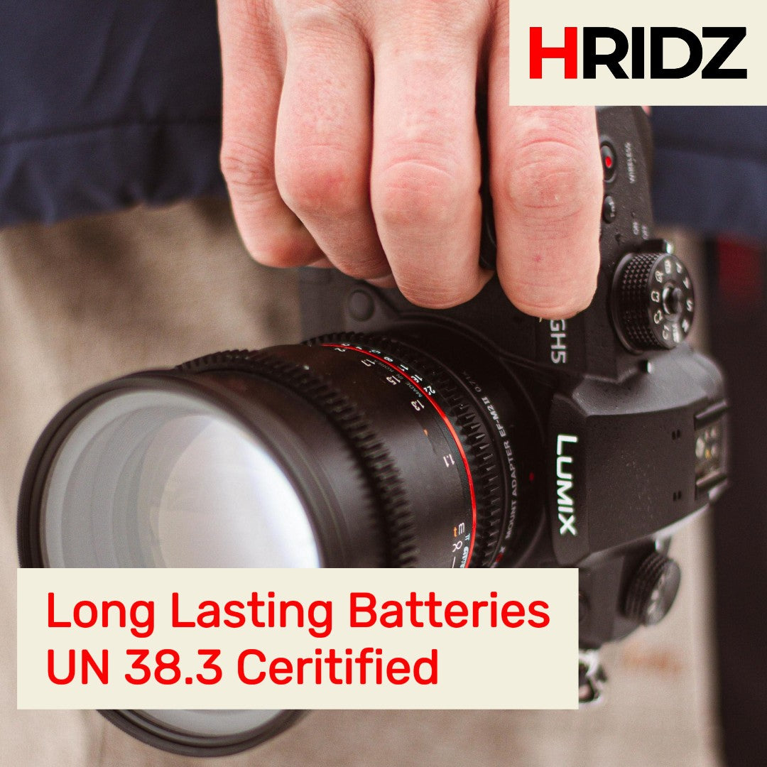 Hridz BLK22 2*Battery 1*Dual Charger for Panasonic DMW-BLK22 LUMIX DSLR Camera GH5s S9 G9