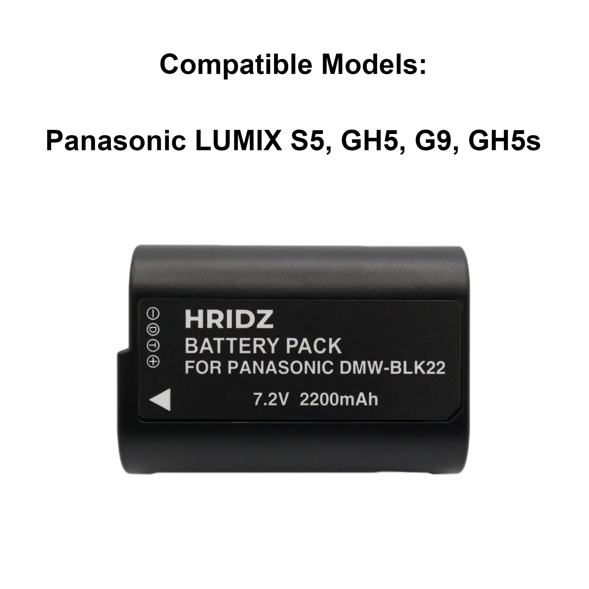Hridz BLK22 Batteries & Charger Set for Panasonic Lumix G9 S5 GH6 GH5 GH5s & BLF19