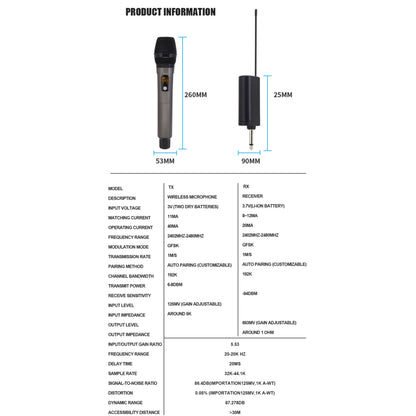 Hridz rechargeable UHF dual channel wireless microphone system for performances, speech teaching