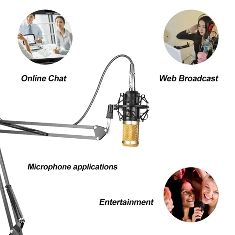Hridz Professional Black Studio Condenser Microphone for Desk with Sound card