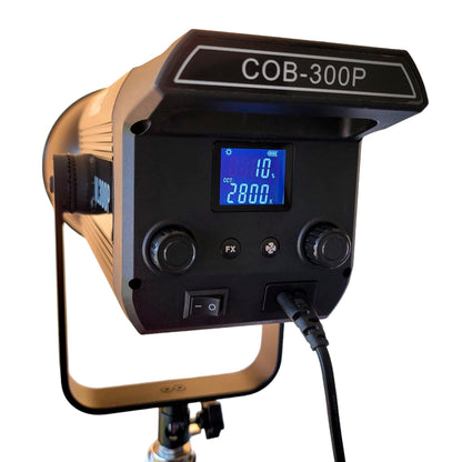 HRIDZ 300W LED Video Light Ultra Bright VL300 Bi-Color COB 2800-6800K Bowens