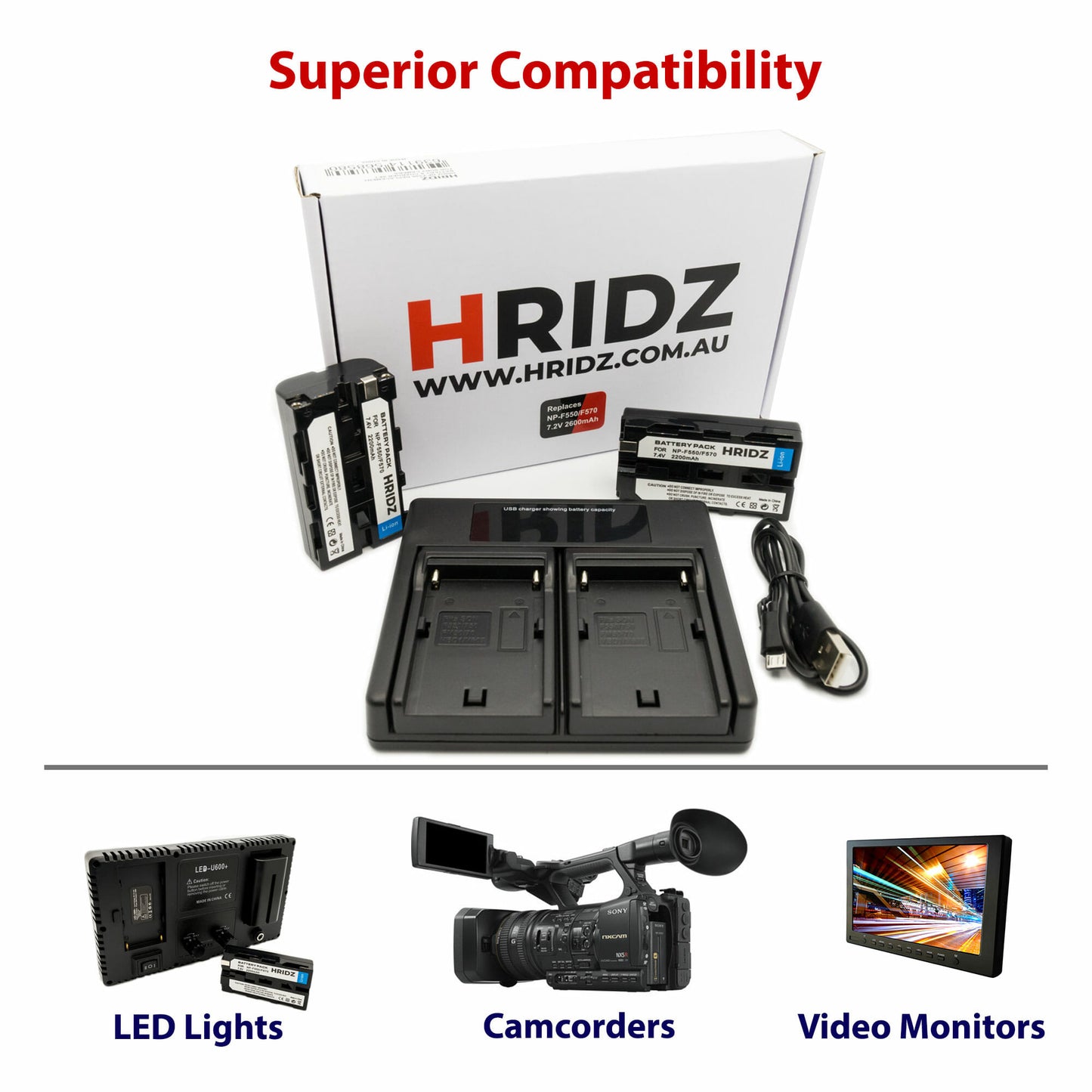 Neewer 176 RGB Video Light with Hridz NPF550 2 Battery 1 Charger Combo Pack